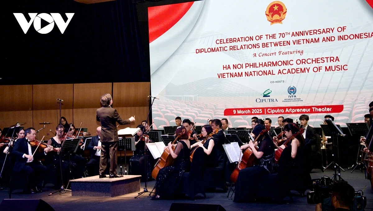 party leader attends jakarta concert marking 70 years of vietnam indonesia diplomacy picture 2