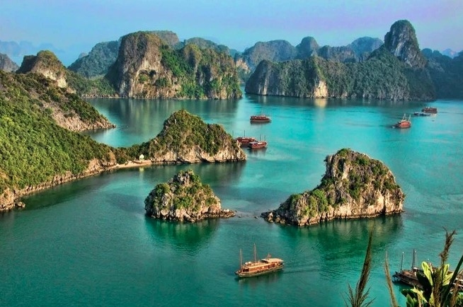 about 1,700 tourists from japan to visit ha long by cruise ship picture 1