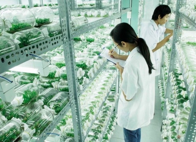 vietnam partners with israel for hi-tech agricultural innovation picture 1