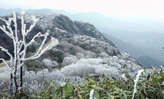 Đang có không khí lạnh mạnh tăng cường xuống phía bắc hình ảnh 1 Dang co khong khi lanh manh tang cuong xuong phia bac hinh anh 1