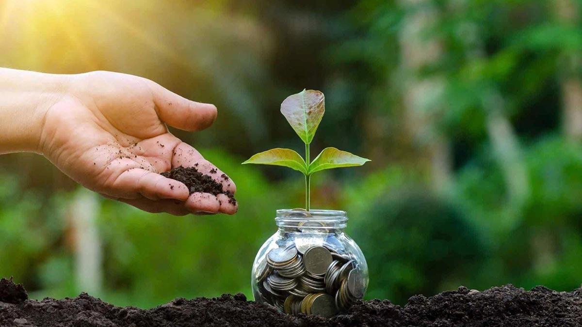 giải pháp nào cho doanh nghiệp net zero hình ảnh 2 giai phap nao cho doanh nghiep net zero hinh anh 2