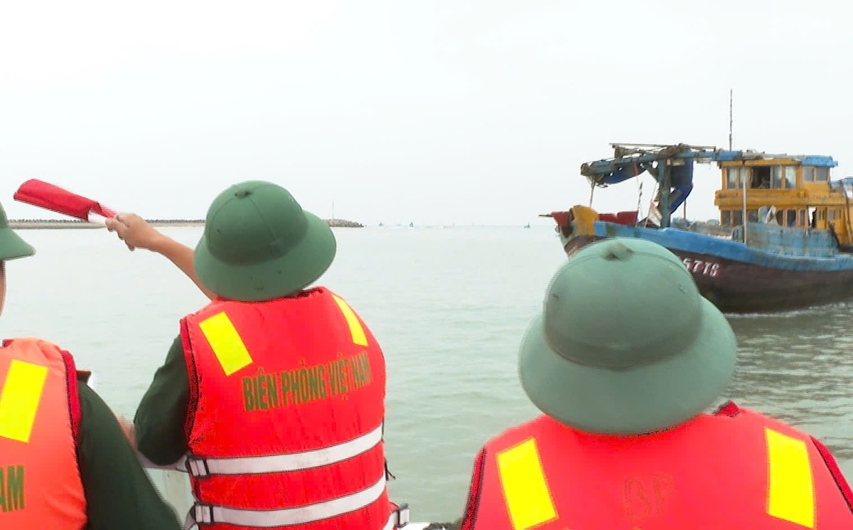 biên phòng bình thuận phát hiện, xử lý nhiều phương tiện vi phạm hình ảnh 2 bien phong binh thuan phat hien, xu ly nhieu phuong tien vi pham hinh anh 2