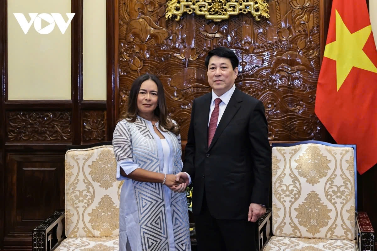 vietnam expects to further expand cooperation with foreign partners picture 3 vietnam expects to further expand cooperation with foreign partners picture 3