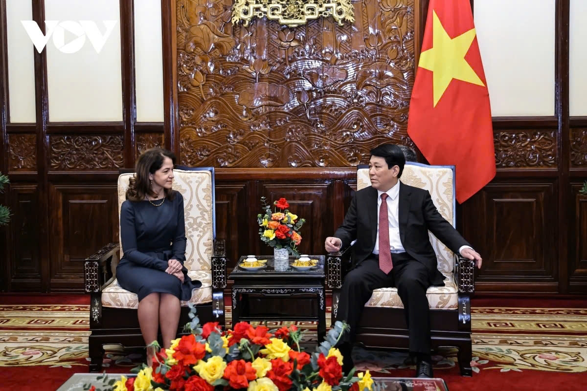 vietnam expects to further expand cooperation with foreign partners picture 2 vietnam expects to further expand cooperation with foreign partners picture 2