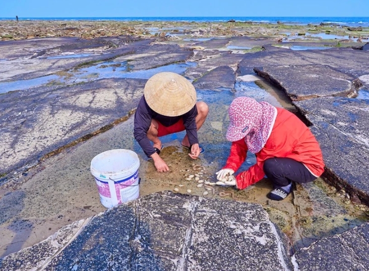 bach long vi island a model for marine biodiversity protection picture 1