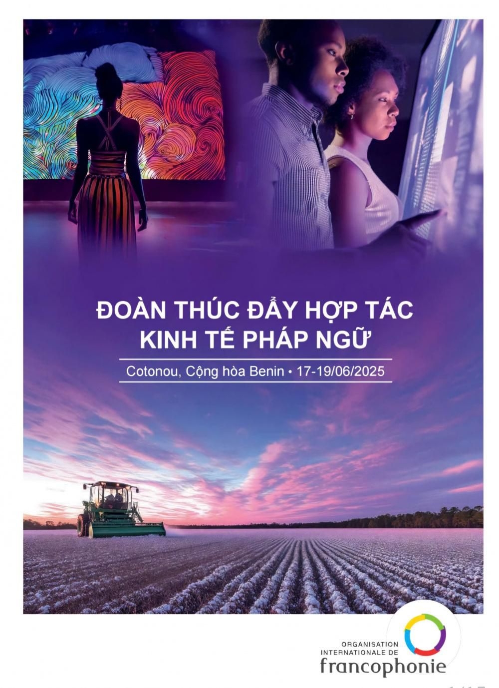 Dang ky tham gia Doan thuc day hop tac kinh te phap ngu tai cotonou, benin hinh anh 1