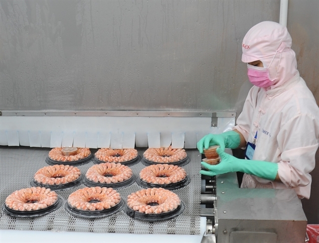 vietnam s shrimp exports maintain steady growth picture 1