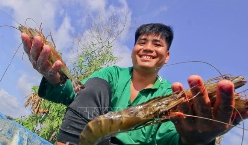 shrimp industry advised to take actions to maintain growth momentum picture 1