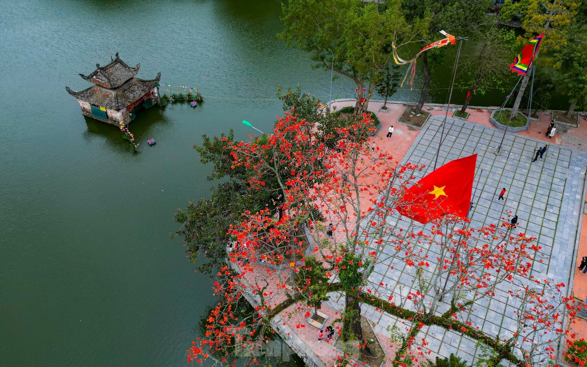 ngắm hoa gạo đỏ rực bên ngôi chùa nghìn năm tuổi ở hà nội hình ảnh 2 ngam hoa gao do ruc ben ngoi chua nghin nam tuoi o ha noi hinh anh 2