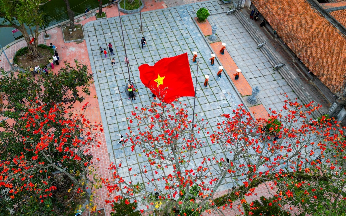 ngắm hoa gạo đỏ rực bên ngôi chùa nghìn năm tuổi ở hà nội hình ảnh 3 ngam hoa gao do ruc ben ngoi chua nghin nam tuoi o ha noi hinh anh 3