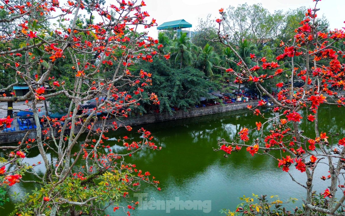 ngắm hoa gạo đỏ rực bên ngôi chùa nghìn năm tuổi ở hà nội hình ảnh 11 ngam hoa gao do ruc ben ngoi chua nghin nam tuoi o ha noi hinh anh 11
