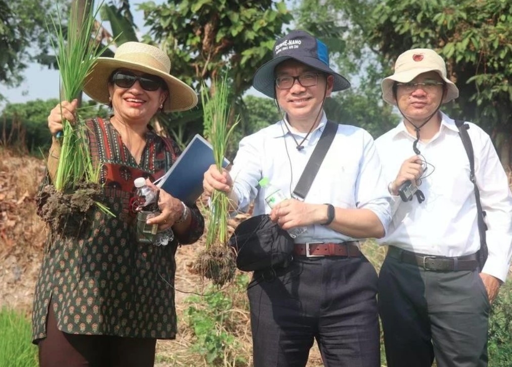 world bank pledges continued support for vietnam s high-quality, low-emission rice project picture 1