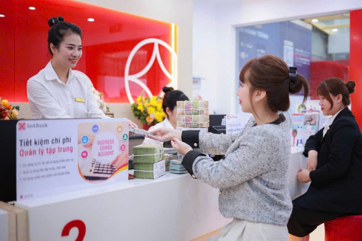 hai to chuc tai chinh cua chinh phu phap, ha lan dau tu 80 trieu usd cho seabank hinh anh 2