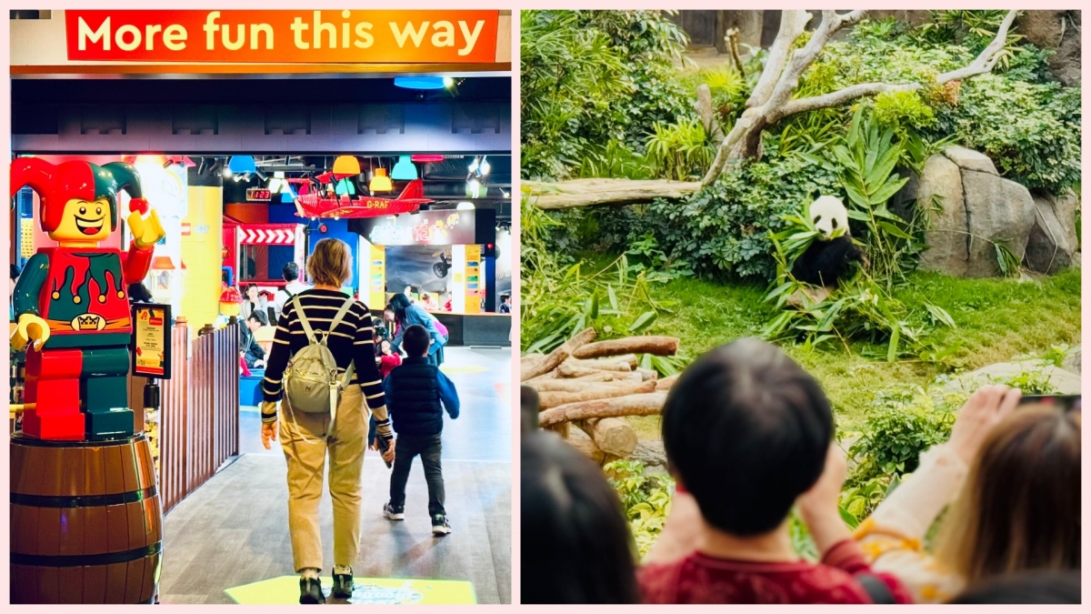 gợi ý lịch trình khám phá hong kong trung quốc dành cho các gia đình việt hình ảnh 3 goi y lich trinh kham pha hong kong trung quoc danh cho cac gia dinh viet hinh anh 3