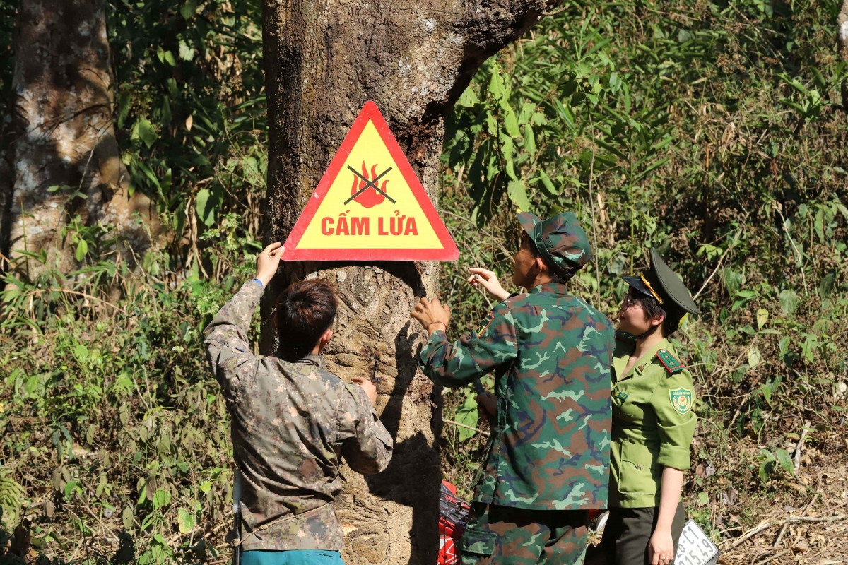 Sơn La tăng cường bảo vệ rừng trong những ngày thời tiết hanh khô