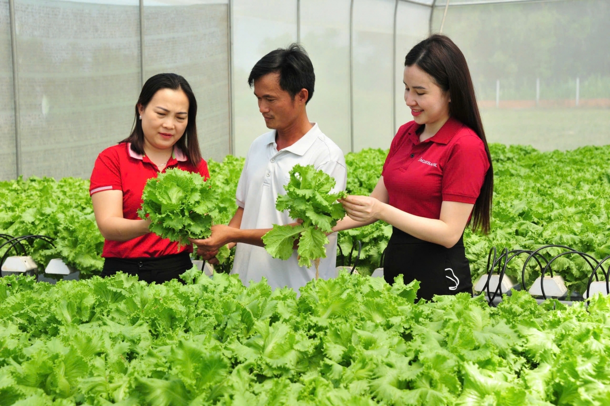 agribank thuc day kinh te tu nhan phat huy vai tro tru cot cua nen kinh te hinh anh 3