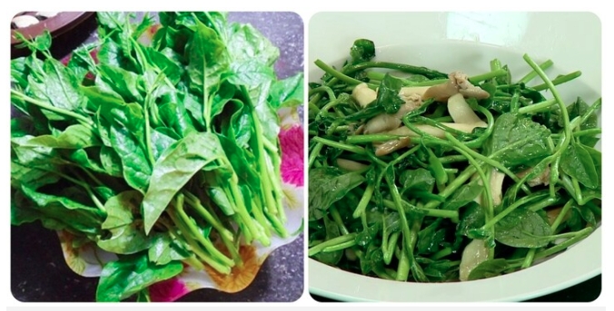 những người nên thường xuyên ăn rau mồng tơi hình ảnh 1 nhung nguoi nen thuong xuyen an rau mong toi hinh anh 1