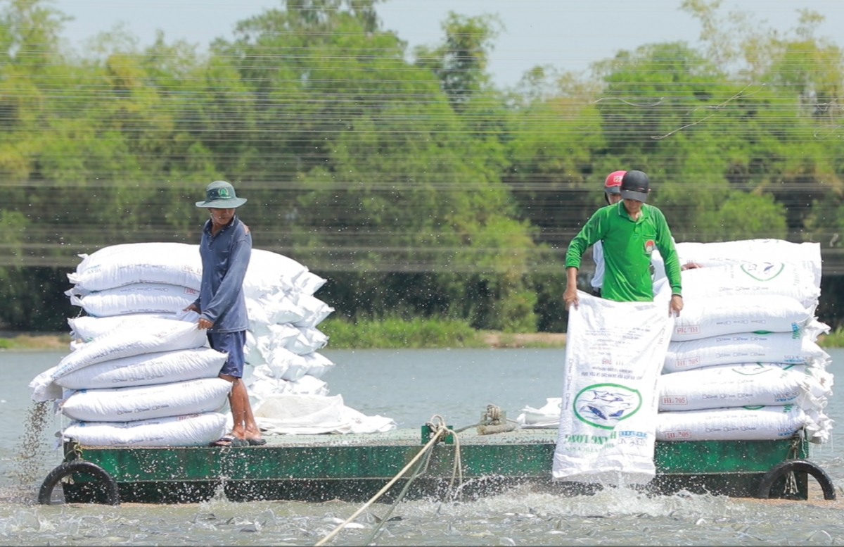 agribank đẩy mạnh tín dụng ưu đãi lĩnh vực nông, lâm, thủy sản hình ảnh 2 agribank day manh tin dung uu dai linh vuc nong, lam, thuy san hinh anh 2
