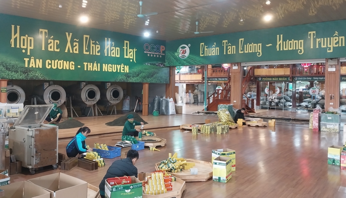 thai nguyen phat trien kinh te ben vung bang san pham ocop hinh anh 1