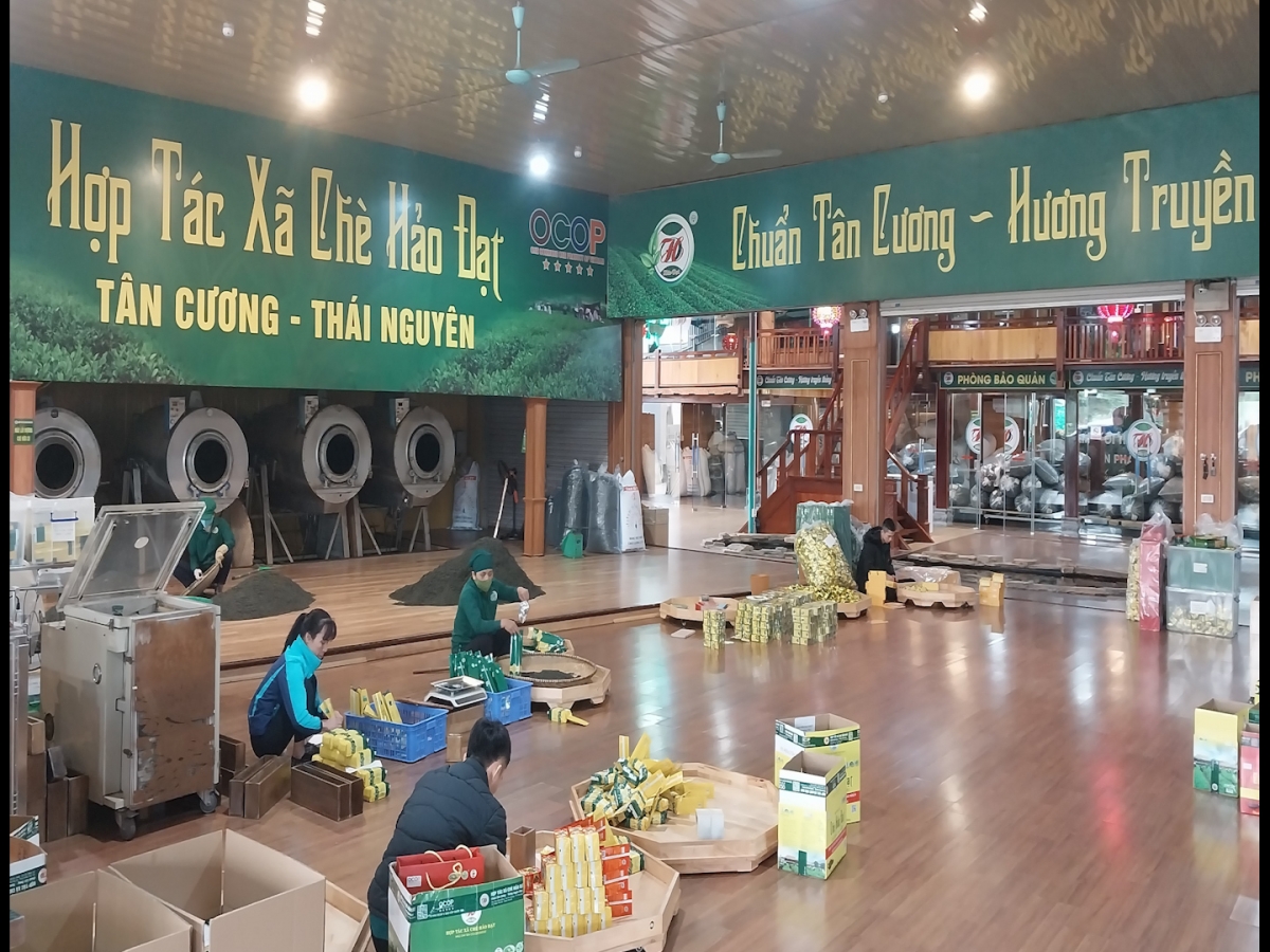 Thái Nguyên phát triển kinh tế bền vững bằng sản phẩm OCOP