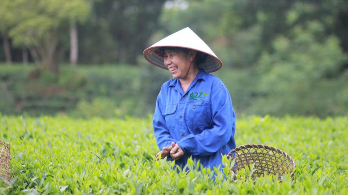 thai nguyen ket hop du lich va am thuc, huong toi muc tieu xuat khau che ty do hinh anh 1