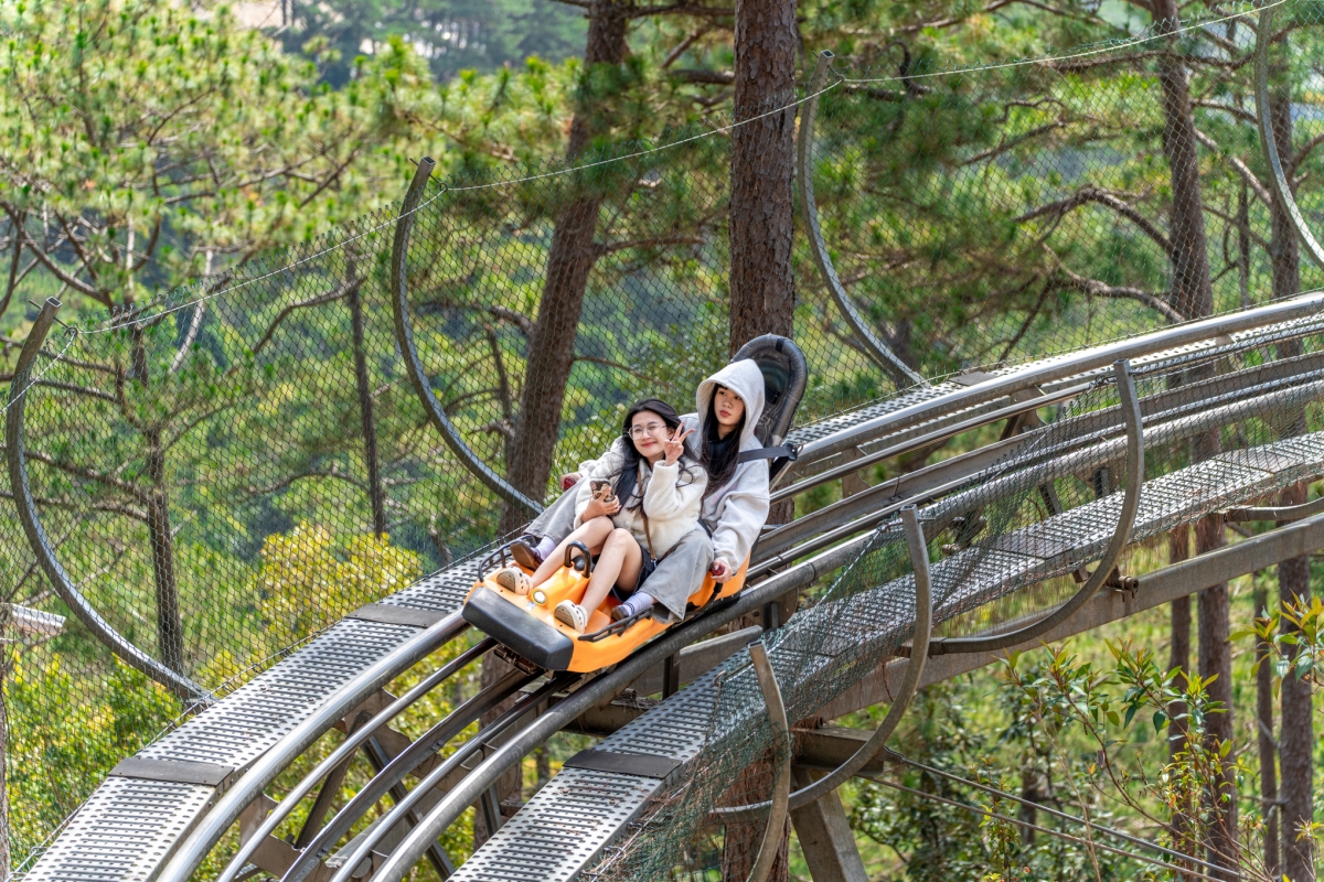 dalattourist lần thứ 2 được vinh danh top 10 thương hiệu mạnh asean hình ảnh 4 dalattourist lan thu 2 duoc vinh danh top 10 thuong hieu manh asean hinh anh 4