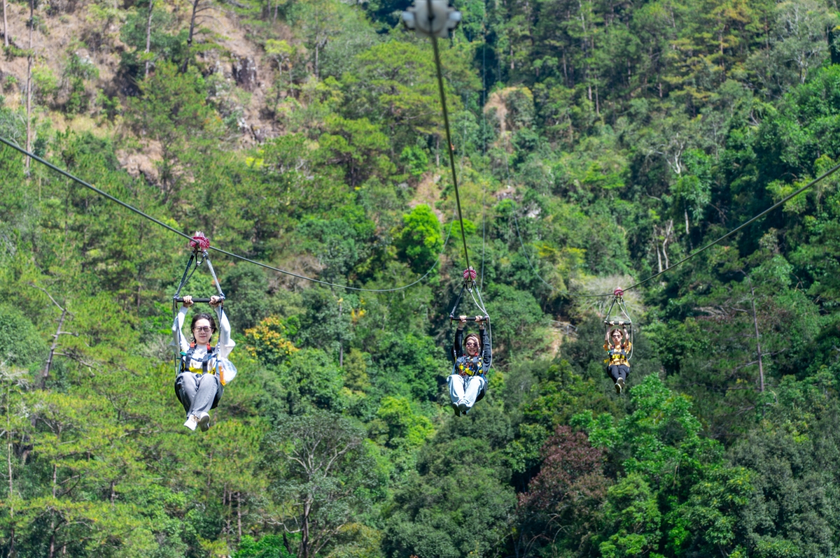 dalattourist lần thứ 2 được vinh danh top 10 thương hiệu mạnh asean hình ảnh 11 dalattourist lan thu 2 duoc vinh danh top 10 thuong hieu manh asean hinh anh 11