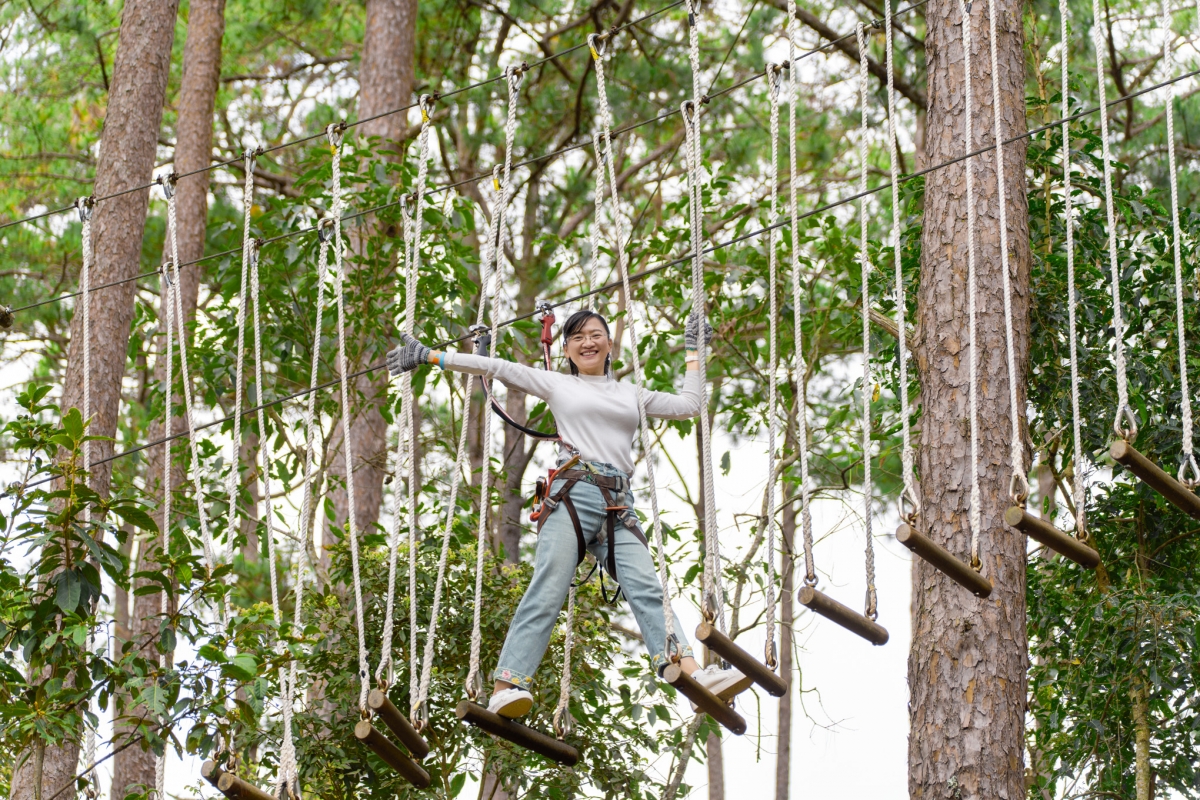 dalattourist lần thứ 2 được vinh danh top 10 thương hiệu mạnh asean hình ảnh 5 dalattourist lan thu 2 duoc vinh danh top 10 thuong hieu manh asean hinh anh 5