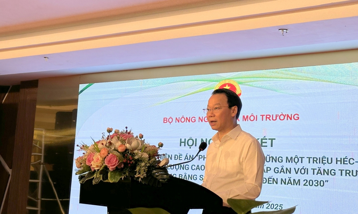 Đề án 1 triệu hecta lúa ở Đbscl mang lại lợi ích về kinh tế và môi trường hình ảnh 1 De an 1 trieu hecta lua o Dbscl mang lai loi ich ve kinh te va moi truong hinh anh 1