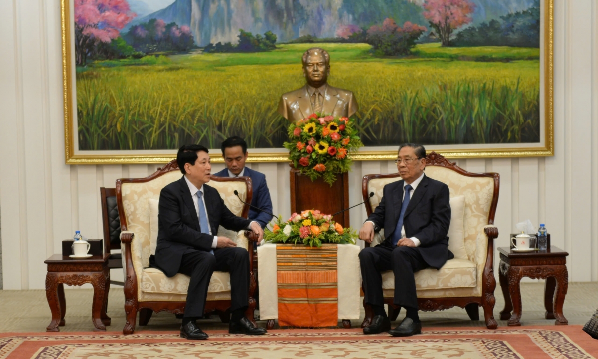chủ tịch nước lương cường gặp nguyên các lãnh đạo cấp cao lào hình ảnh 2 chu tich nuoc luong cuong gap nguyen cac lanh dao cap cao lao hinh anh 2