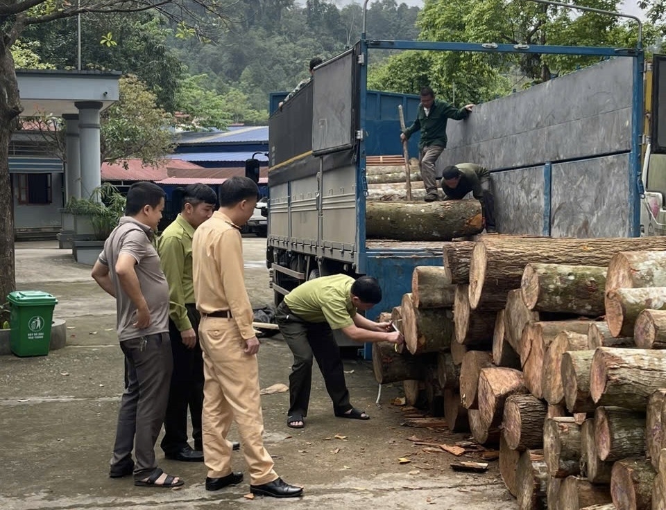 bắt giữ đối tượng vận chuyển trái phép 9kg rắn hổ mang hình ảnh 2 bat giu doi tuong van chuyen trai phep 9kg ran ho mang hinh anh 2
