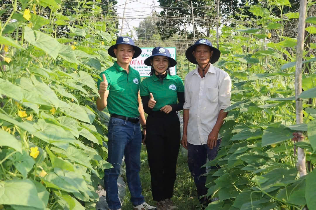 nước mặn ở tiền giang giảm, mở cửa nhiều cống đập đón nước ngọt vào nội đồng hình ảnh 3 nuoc man o tien giang giam, mo cua nhieu cong dap don nuoc ngot vao noi dong hinh anh 3