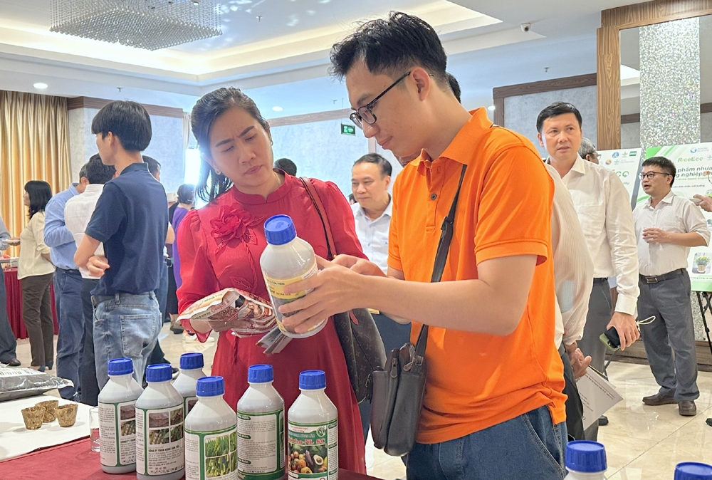 kinh tế tuần hoàn, giải pháp để nâng cao chuỗi giá trị lúa gạo ở Đbscl hình ảnh 1 kinh te tuan hoan, giai phap de nang cao chuoi gia tri lua gao o Dbscl hinh anh 1