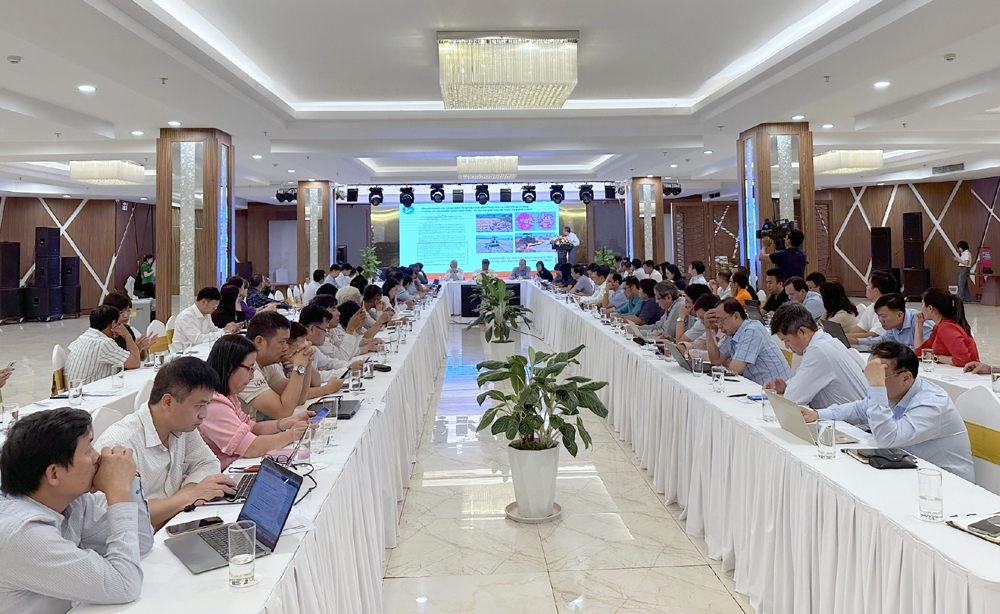 kinh tế tuần hoàn, giải pháp để nâng cao chuỗi giá trị lúa gạo ở Đbscl hình ảnh 2 kinh te tuan hoan, giai phap de nang cao chuoi gia tri lua gao o Dbscl hinh anh 2