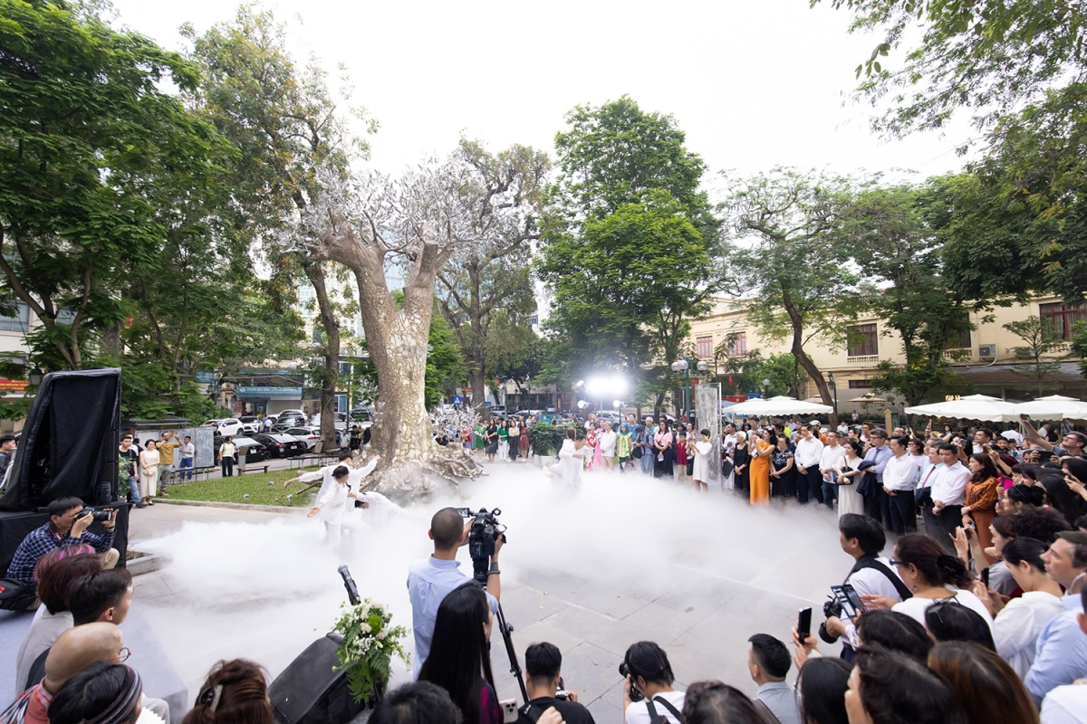 hanh trinh hoi sinh cay xa cu 70 nam tuoi bi do sau con bao yagi tai ha noi hinh anh 1