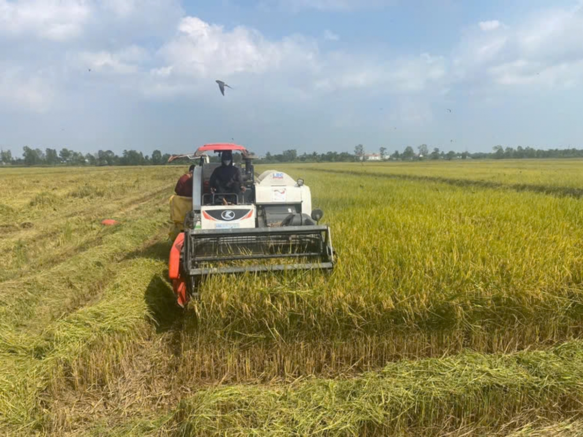 gỡ nút thắt chuyển đổi xanh cho doanh nghiệp hình ảnh 1 go nut that chuyen doi xanh cho doanh nghiep hinh anh 1