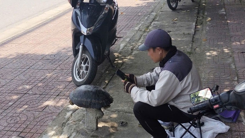 Bán rùa trên đường phố là vi phạm pháp luật