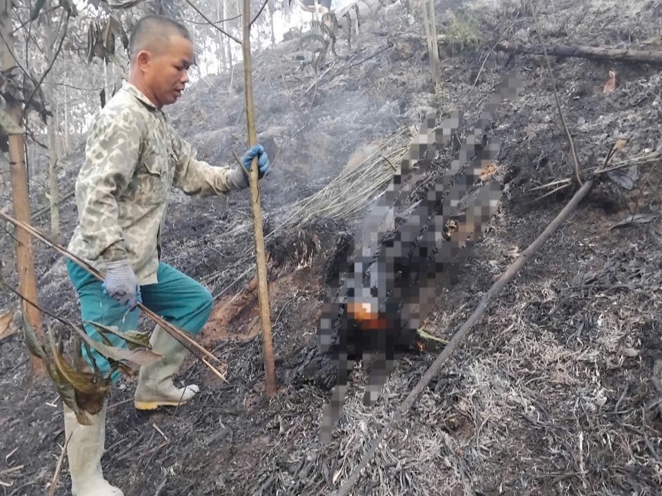 một phụ nữ tử vong do cháy rừng ở bắc kạn hình ảnh 1 mot phu nu tu vong do chay rung o bac kan hinh anh 1