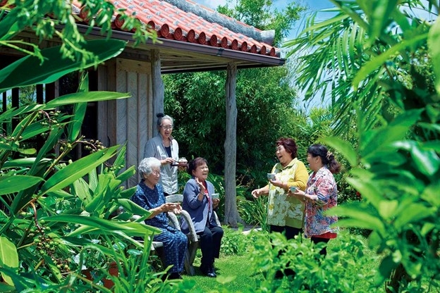 ngoi lang truong tho top dau the gioi, bi quyet la loai qua quen mat o viet nam hinh anh 1