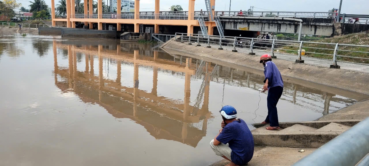 nước mặn ở tiền giang giảm, mở cửa nhiều cống đập đón nước ngọt vào nội đồng hình ảnh 1 nuoc man o tien giang giam, mo cua nhieu cong dap don nuoc ngot vao noi dong hinh anh 1