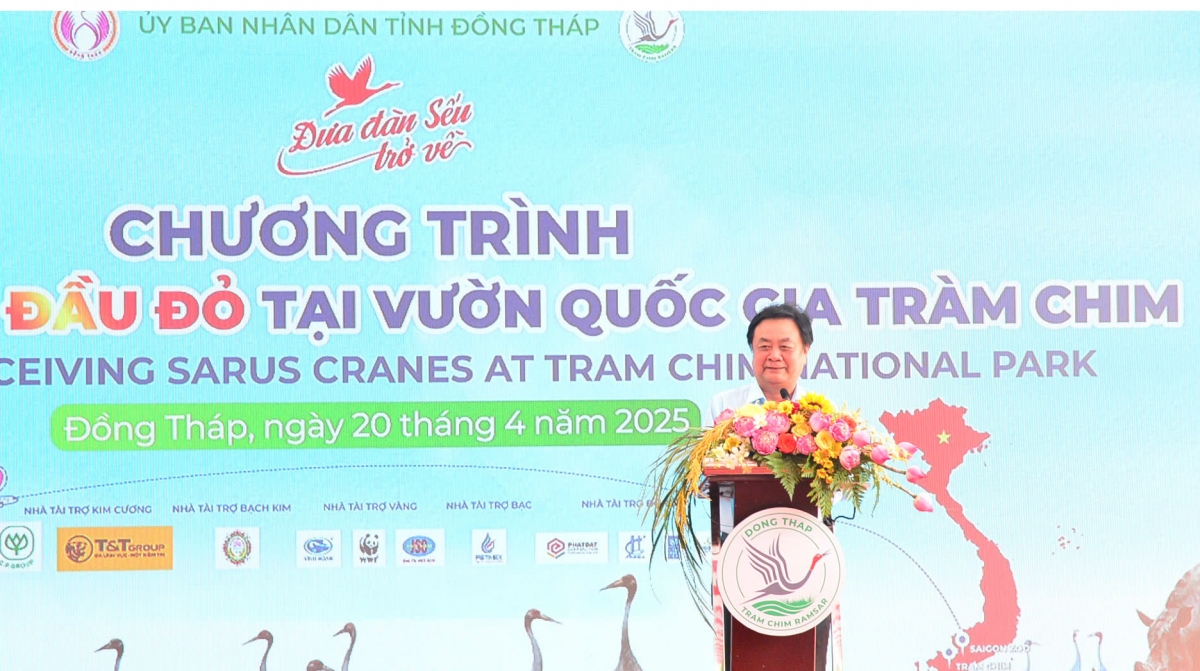 Dong thap tiep nhan 6 ca the seu dau do hinh anh 4