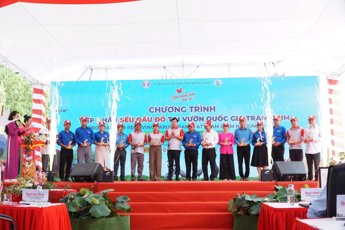 Dong thap tiep nhan 6 ca the seu dau do hinh anh 3