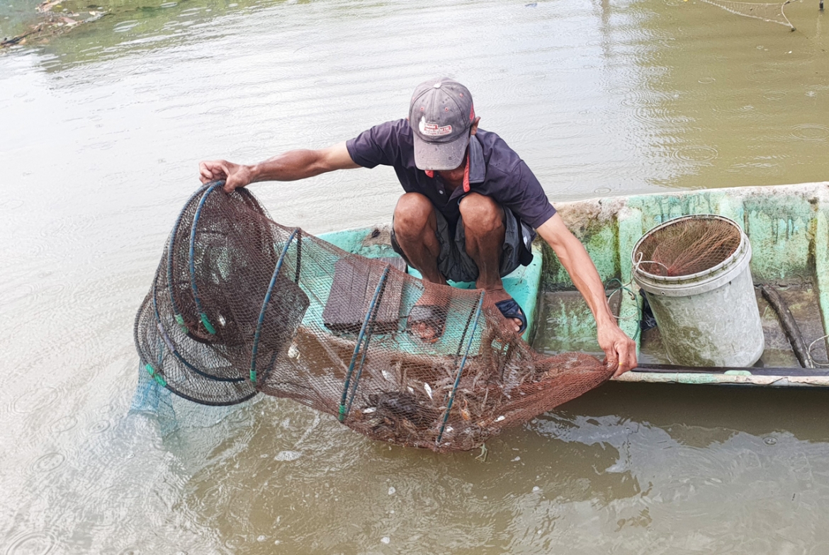 ca mau go kho nganh hang tom truoc thue doi ung cua my hinh anh 2