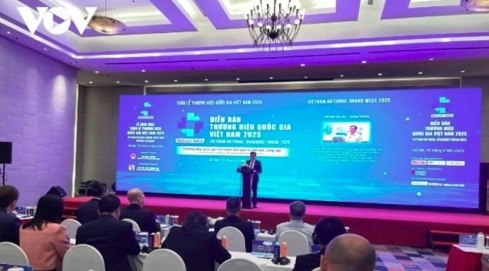 vietnam s national brand estimated at us 507 billion picture 1