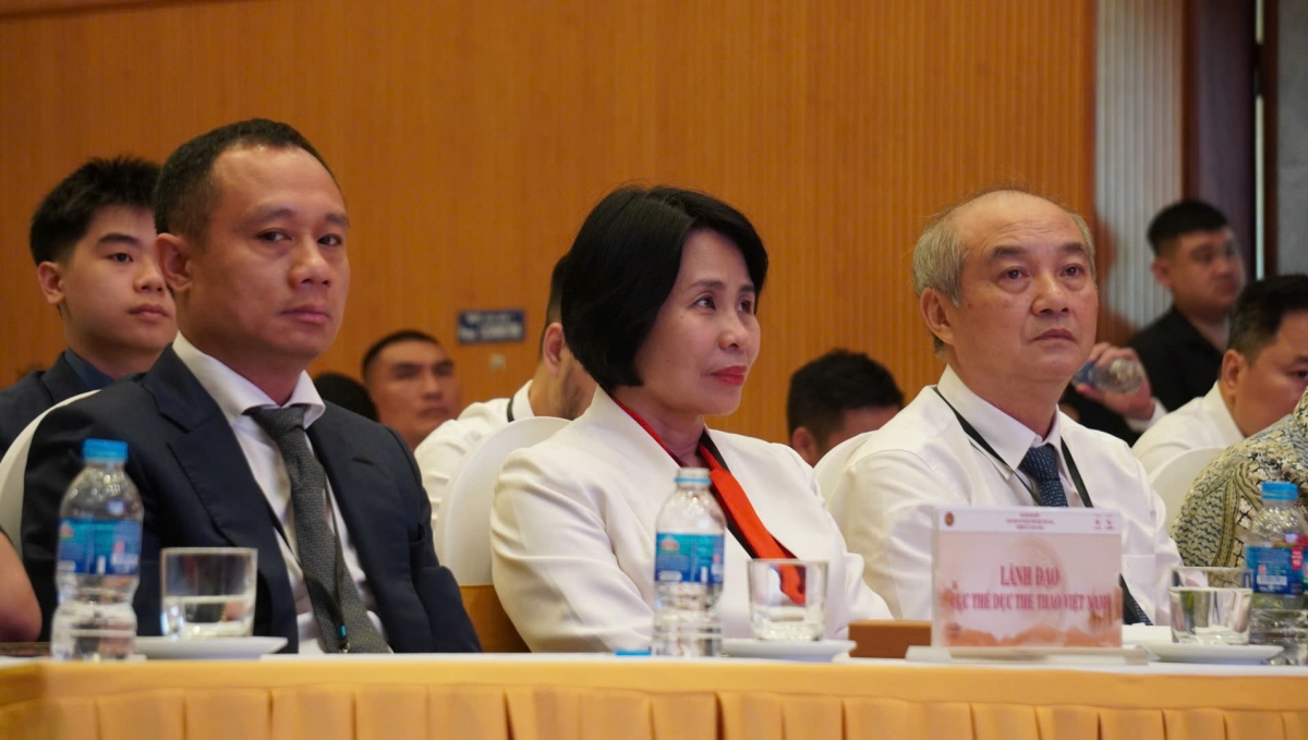 võ thuật tổng hợp việt nam chuyển mình, nỗ lực vươn tầm quốc tế hình ảnh 2 vo thuat tong hop viet nam chuyen minh, no luc vuon tam quoc te hinh anh 2