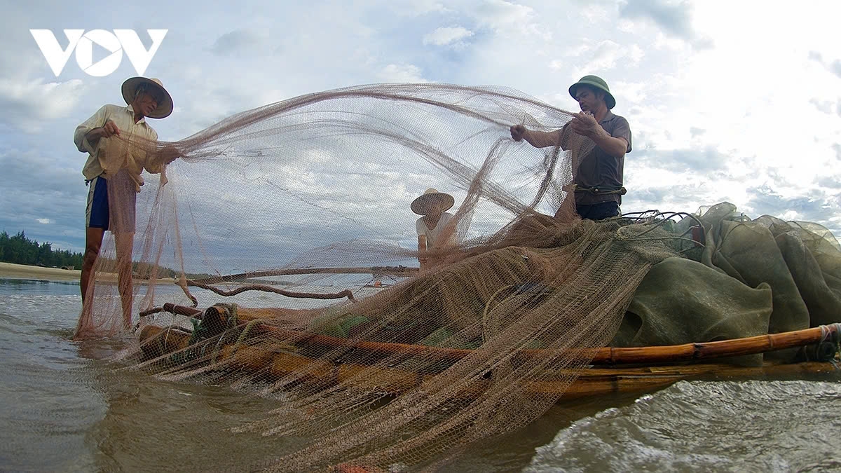 a glimpse of vibrant fishing life in central vietnam picture 17 a glimpse of vibrant fishing life in central vietnam picture 17