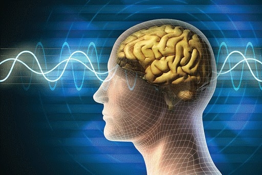 Tình dục ảnh hưởng đến não bộ như thế nào?