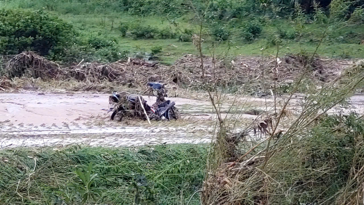 xa hanh dich, que phong, nghe an tan hoang sau lu quet hinh anh 2