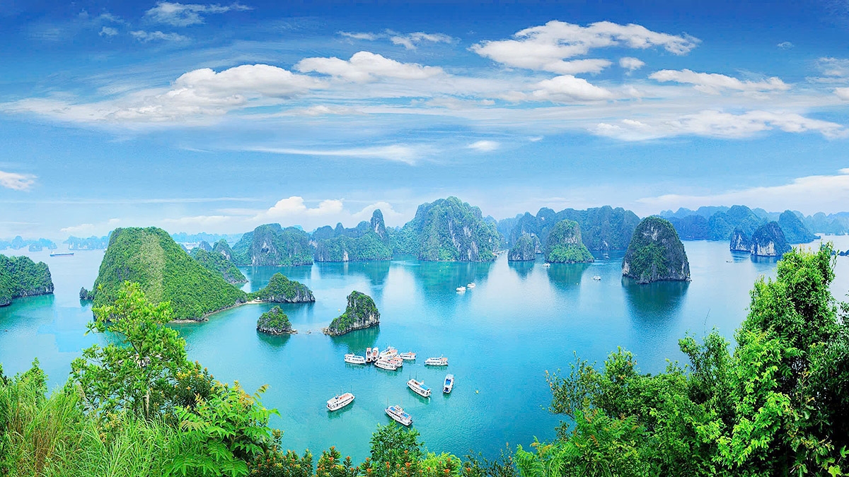 1405.vietnam_diem_den_dien_anh_the_gioi_7.jpg