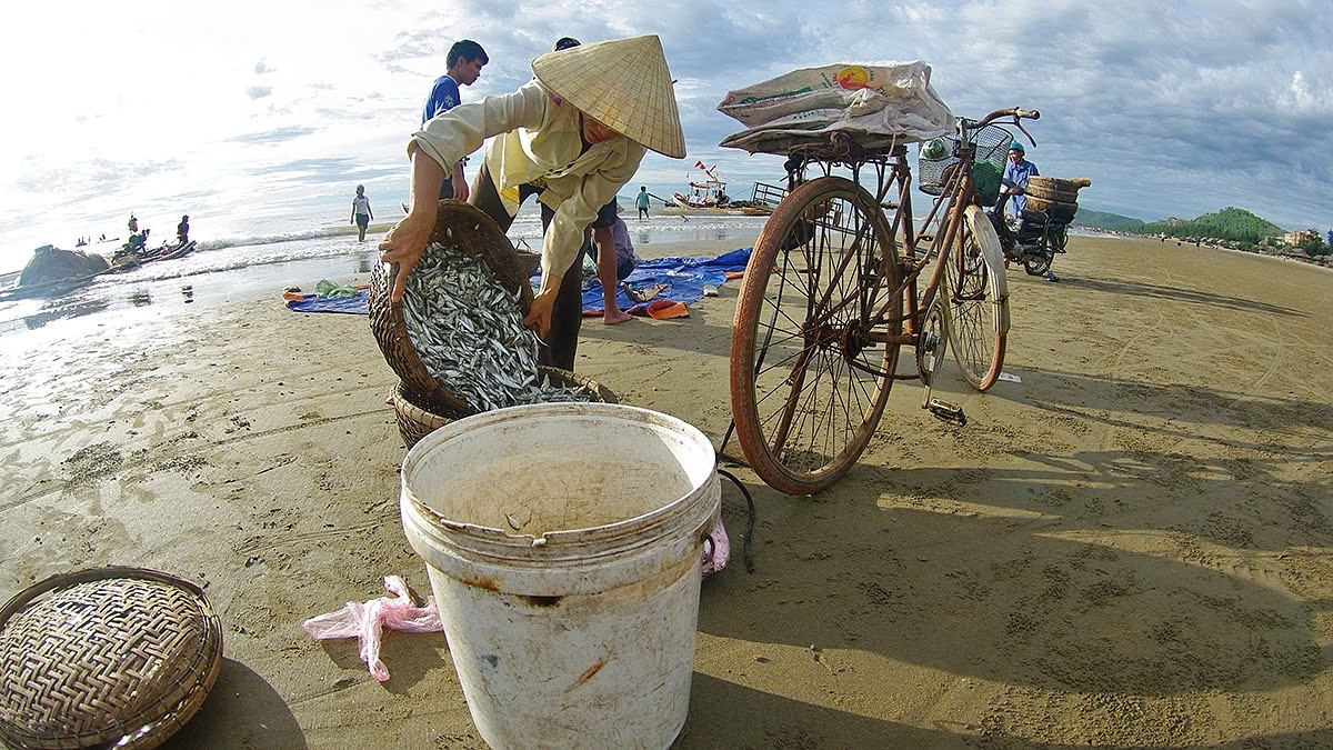 a glimpse of vibrant fishing life in central vietnam picture 16 a glimpse of vibrant fishing life in central vietnam picture 16
